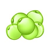 Metabolisme Lipidique