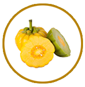 garcinia cambogia