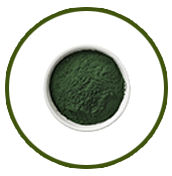 spiruline