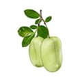 5HTP