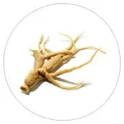 thé ginseng