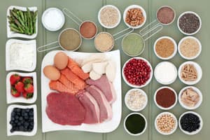 meat-eater-sources meat-eater-sources
