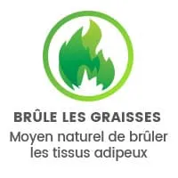 BRÛLE LES GRAISSES