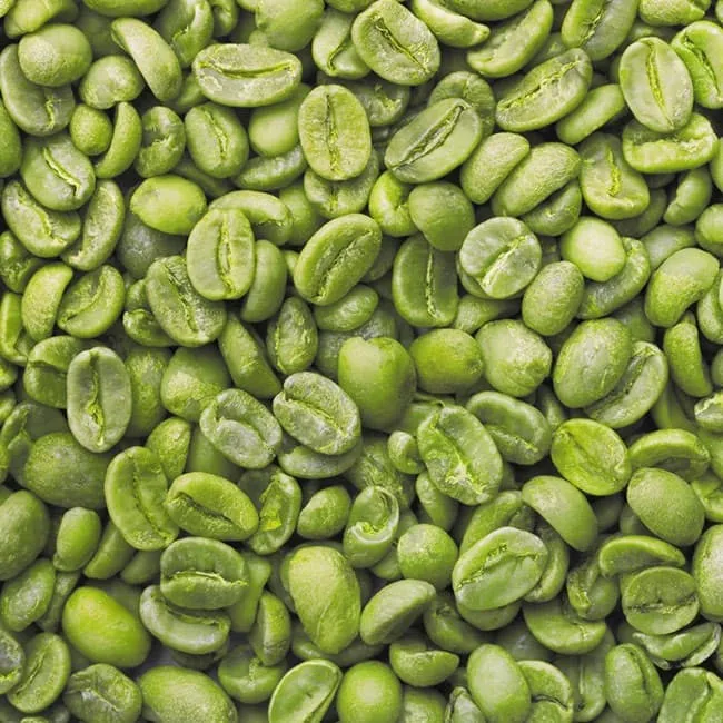 Café vert : quelles sont ses vertus ?