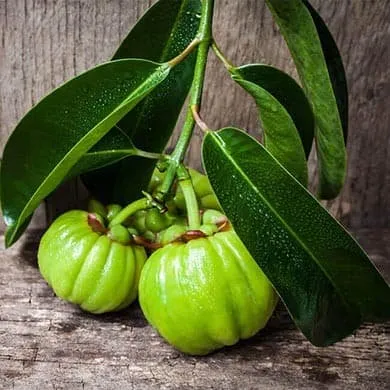 Le Garcinia Cambogia est-il efficace pour perdre du poids ?