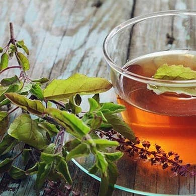Le thé vert, une aide pour réduire le taux de graisses et de glucides ?