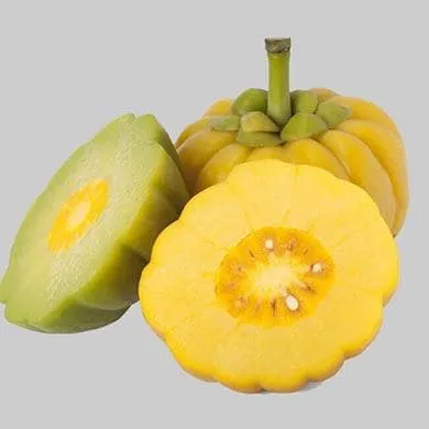 Cinq avantages de Garcinia Cambogia