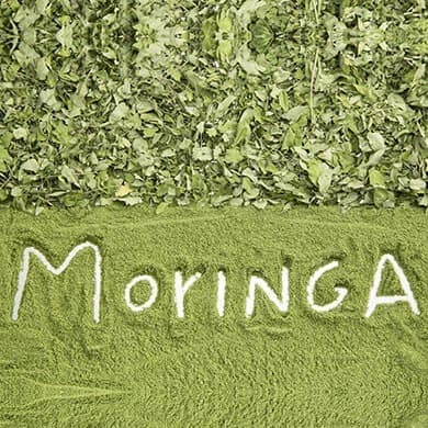 Les avantages de Moringa sur la santé 
