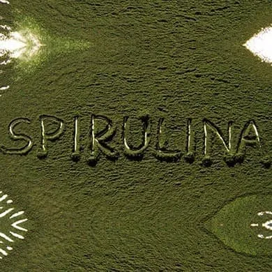 Les 6 avantages de la Spiruline