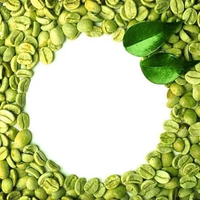 Les particularités des graines du Green Coffee