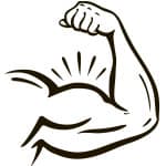 Muscles & Cells Muscles & Cells