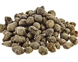 thé ginseng thé ginseng