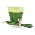 Jus d’herbe d’orge
