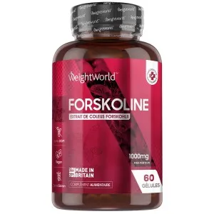 Forskoline pure (Coleus Forskohlii)