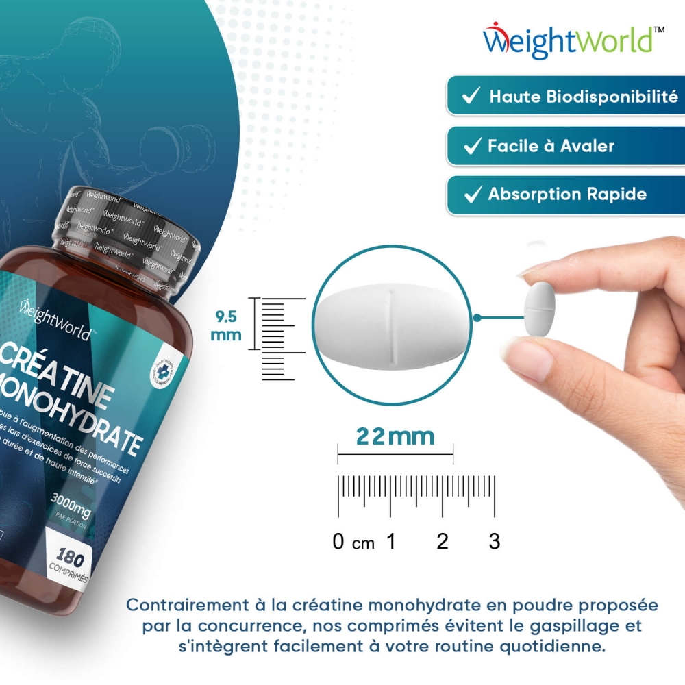Créatine Monohydrate Gain Musculaire WeightWorld