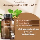 Ashwagandha hautement nutritif de qualité premium