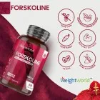 Coleus forskohlii pur, sans OGM ni additifs