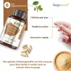 Ashwagandha gélules faciles à avaler