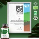 Moringa certifié Bio 