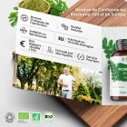 Moringa complément alimentaire fabriqué en Grande-Bretagne