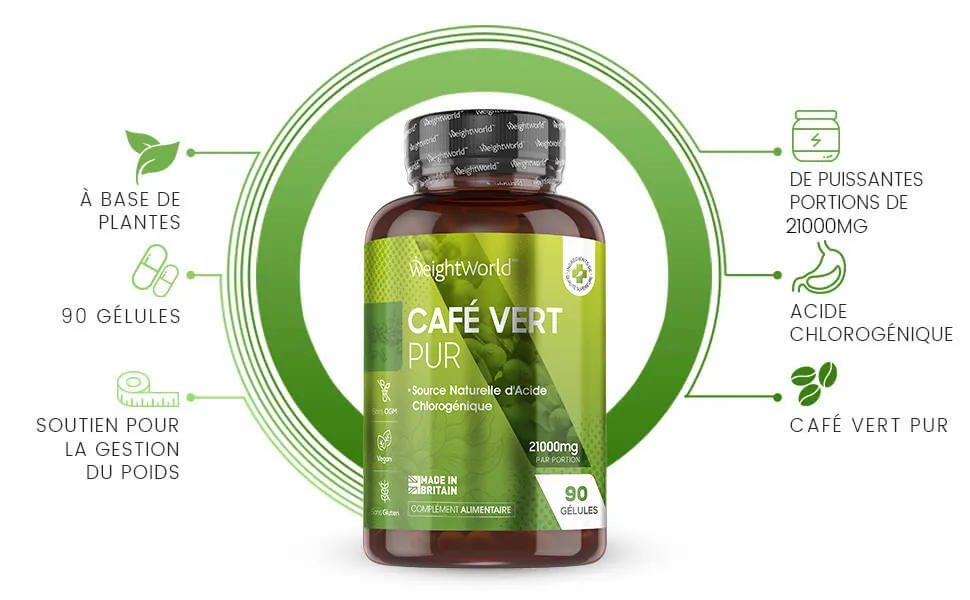 Gélules de café vert pur source d’acide chlorogénique pour la perte de poids