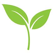 Sac blanc avec étiquette verte. Le sac contient de la poudre bio brahmi 3 Sac blanc avec étiquette verte. Le sac contient de la poudre bio brahmi 3