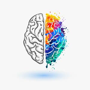 Comment booster ses performances cérébrales ? Comment booster ses performances cérébrales ?