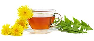 Top 10 des meilleures boissons drainantes et diurétiques Top 10 des meilleures boissons drainantes et diurétiques