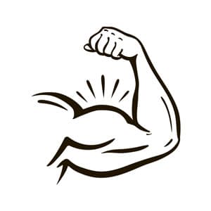Muscles & Cells Muscles & Cells