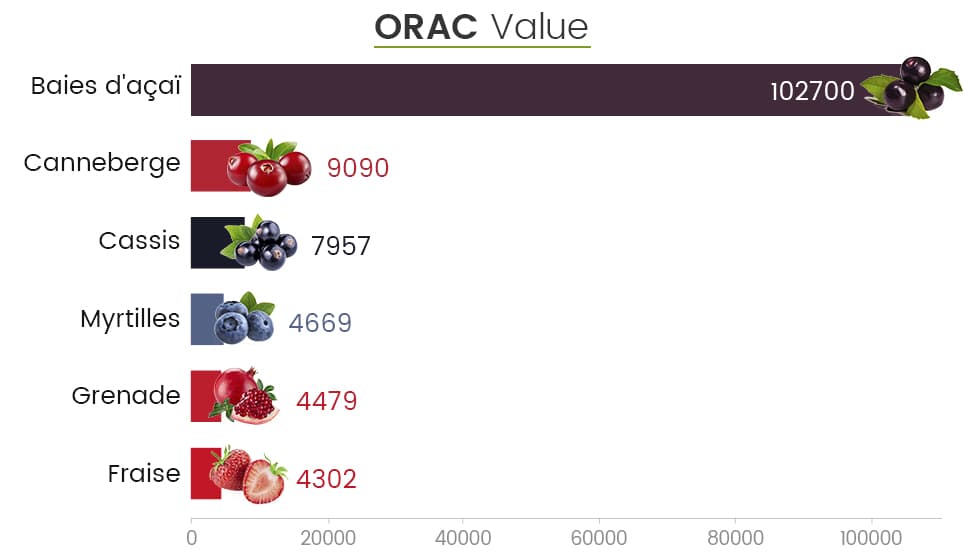valeur nutritionnelle açai