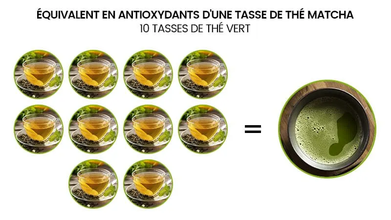 Representation of Antioxidants of one cup of matcha tea equals 10 cups of brewed green tea
