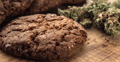 Biscuits aux protéines de chanvre