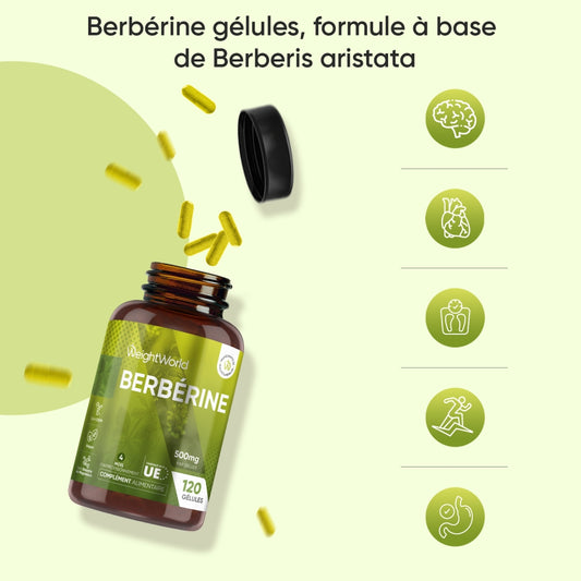 berberine-fr-bottles-01