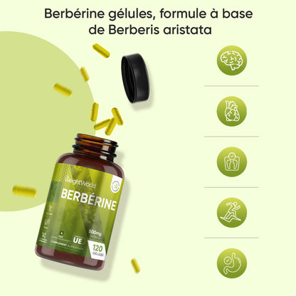 berberine-fr-bottles-01
