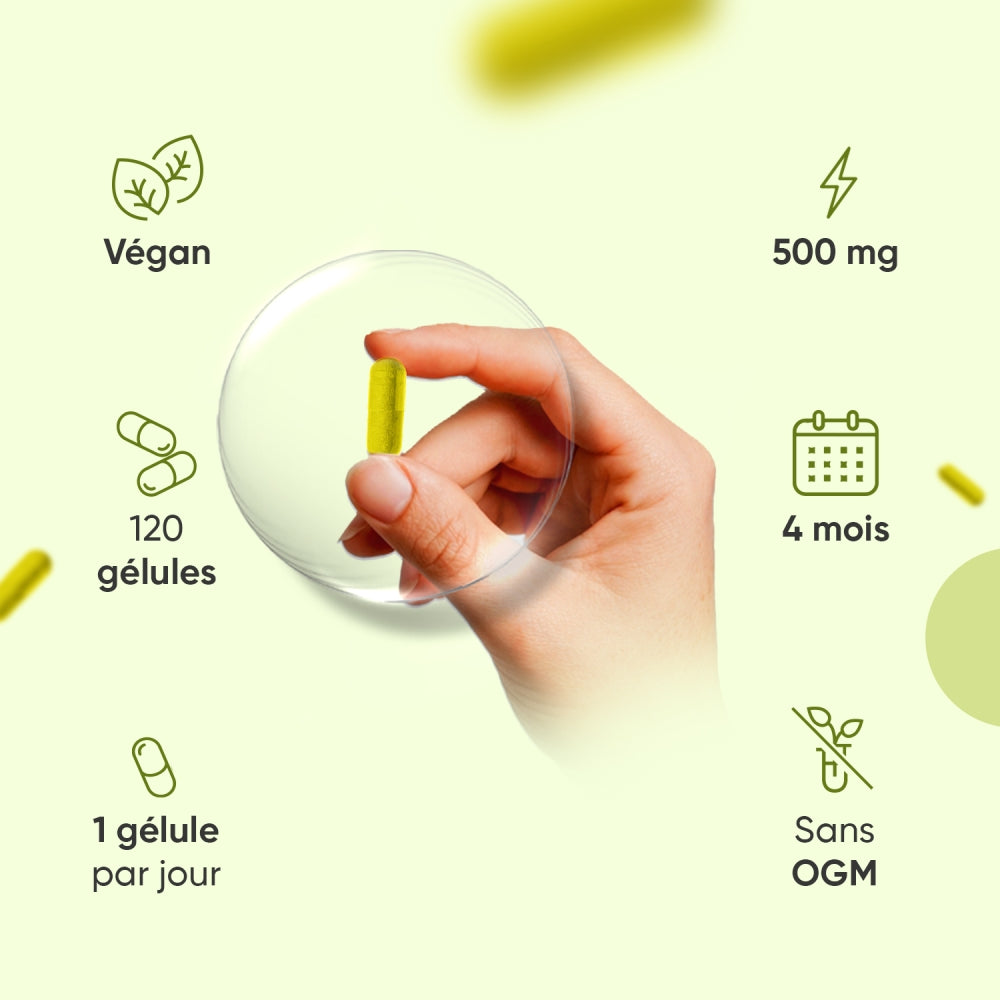 berberine-fr-bottles-03