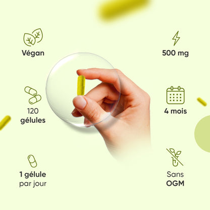 berberine-fr-bottles-03