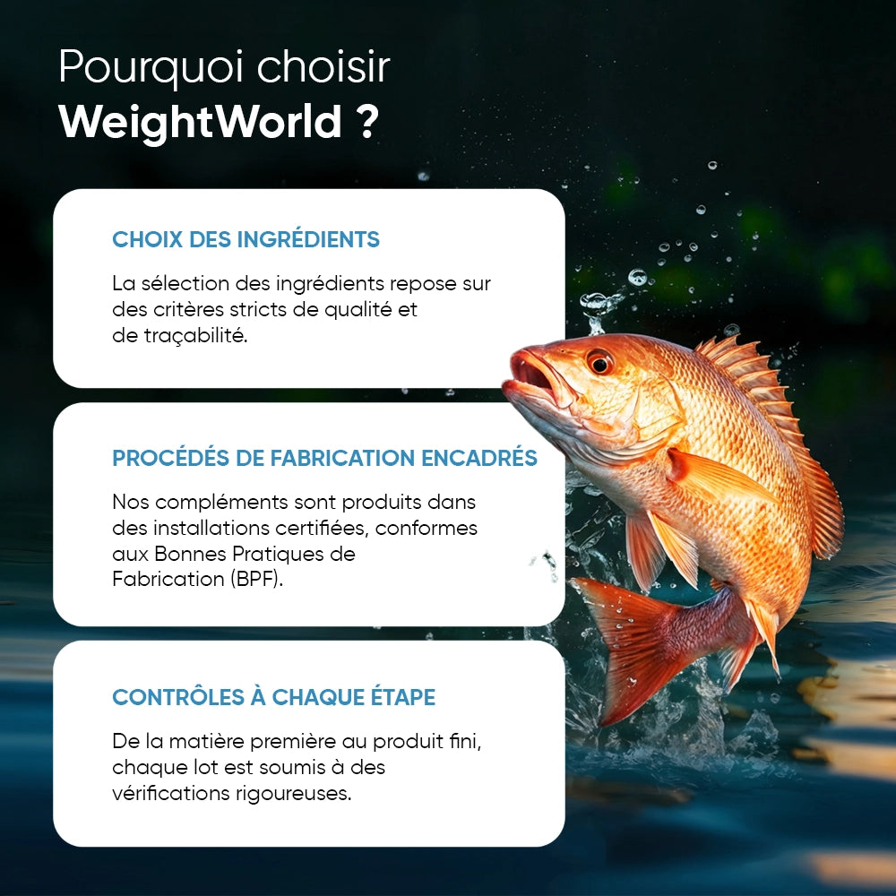 Carte « Pourquoi choisir WeightWorld ? » avec poisson, contrôle qualité et fabrication encadrée