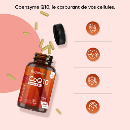 coq10-120-capsules-fr-3