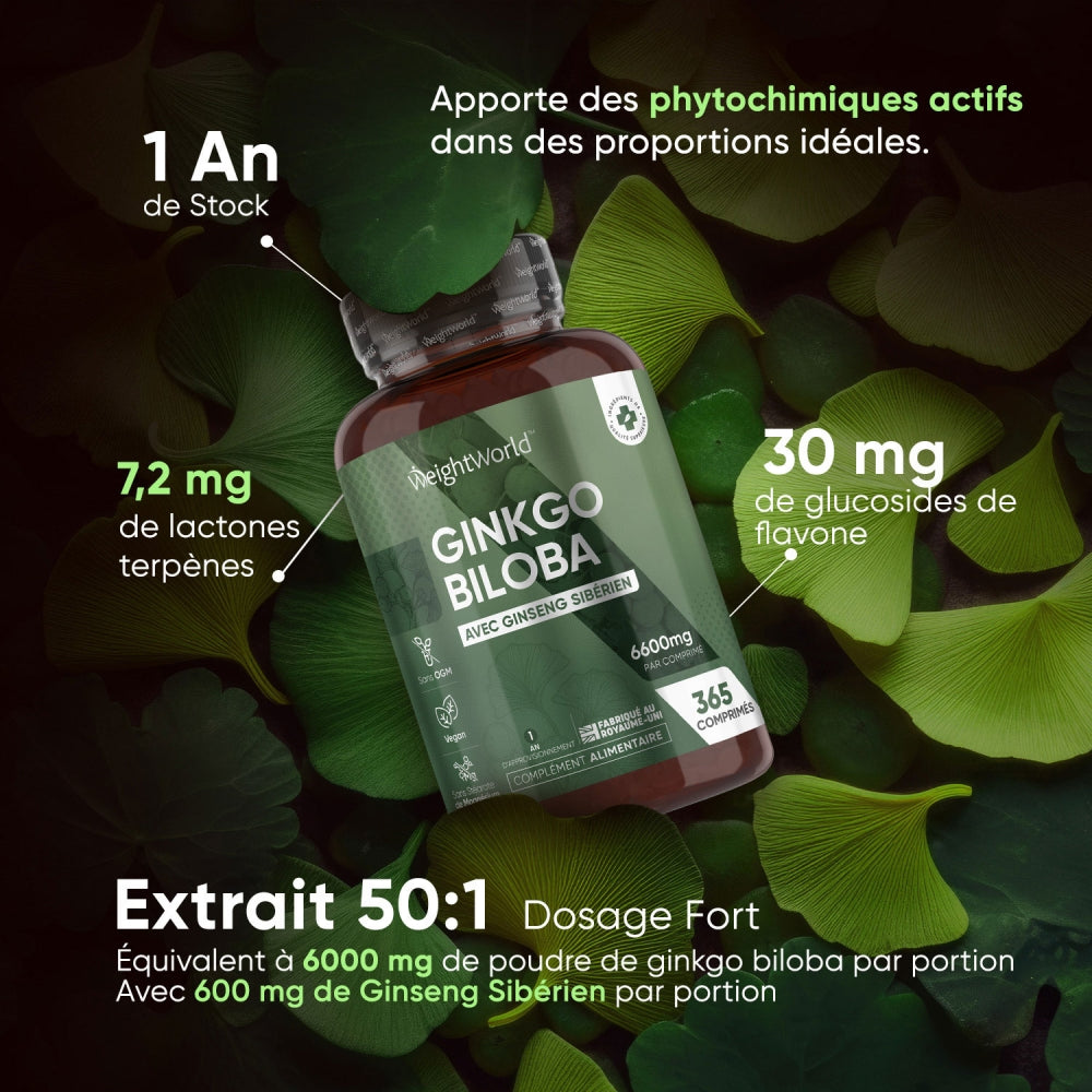 ginkgo-complex-365-caps-fr-3