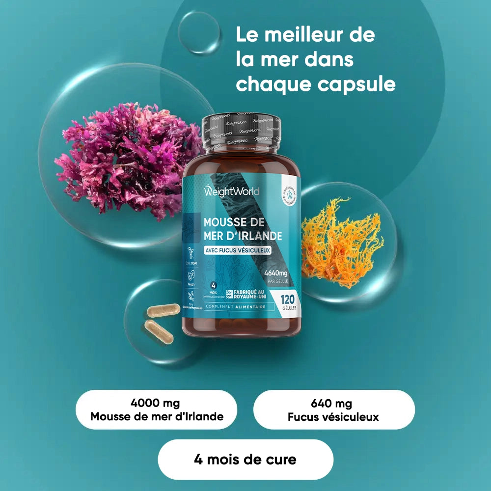 irish-seamoss-capsules-fr-2