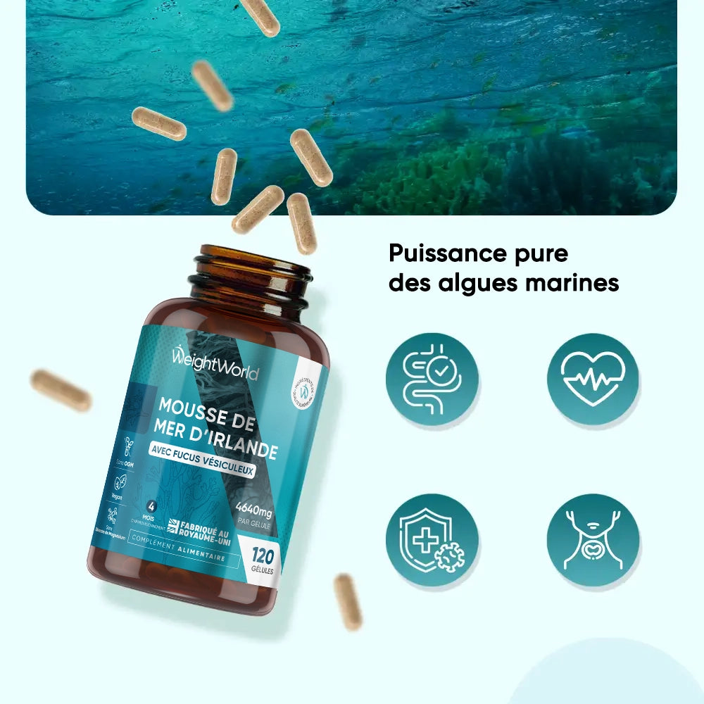 irish-seamoss-capsules-fr-3