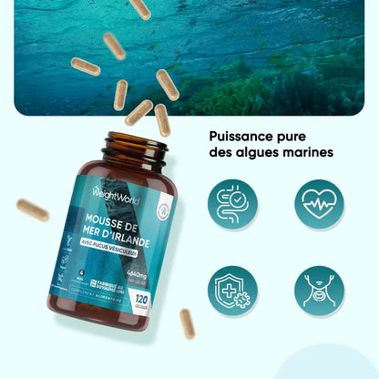 irish-seamoss-capsules-fr-3