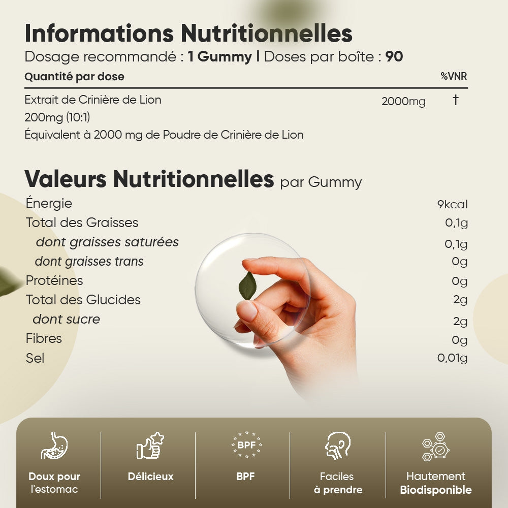 lion-mane-mushroom-extract-frs-4