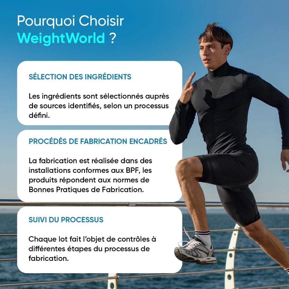 Panneau explicatif WeightWorld : sélection des ingrédients et fabrication encadrée.