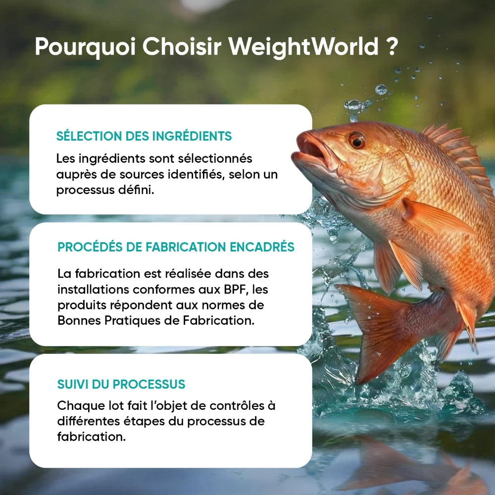 Infographie WeightWorld : sélection des ingrédients et contrôle, avec poisson