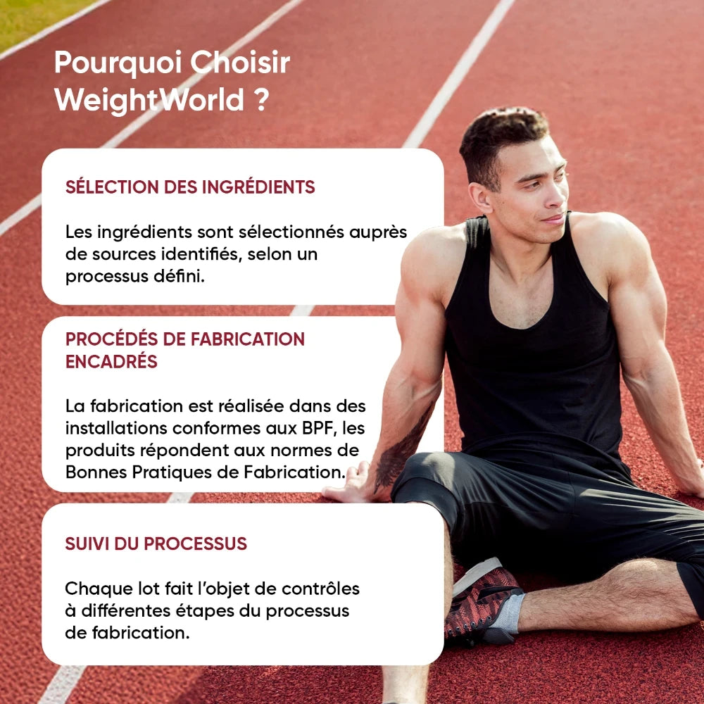Encart d’informations WeightWorld : sélection des ingrédients, procédés et suivi du processus