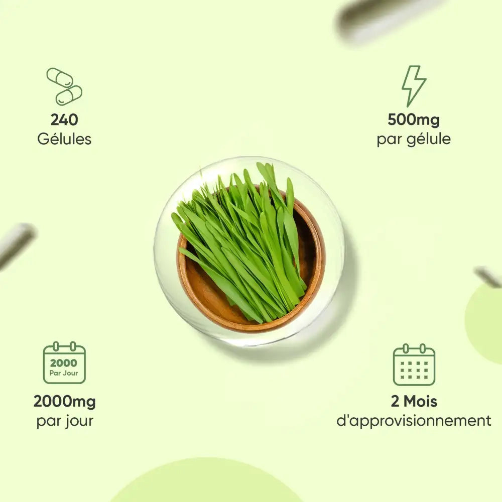 organic-barley-grass--caps-fr-4