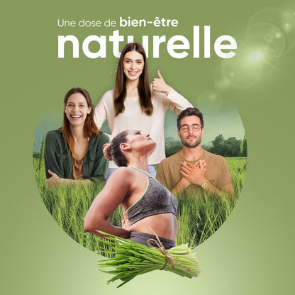 organic-barley-grass-fr-2