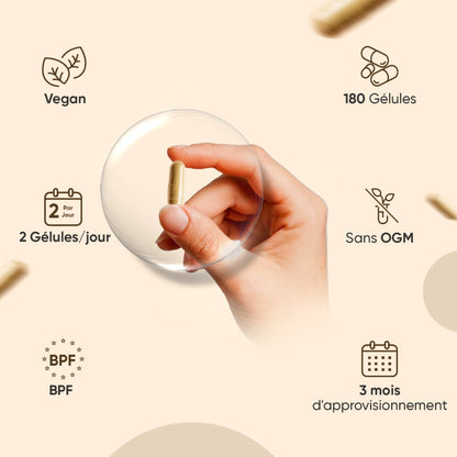 organic-mushroom-capsules-fr-3
