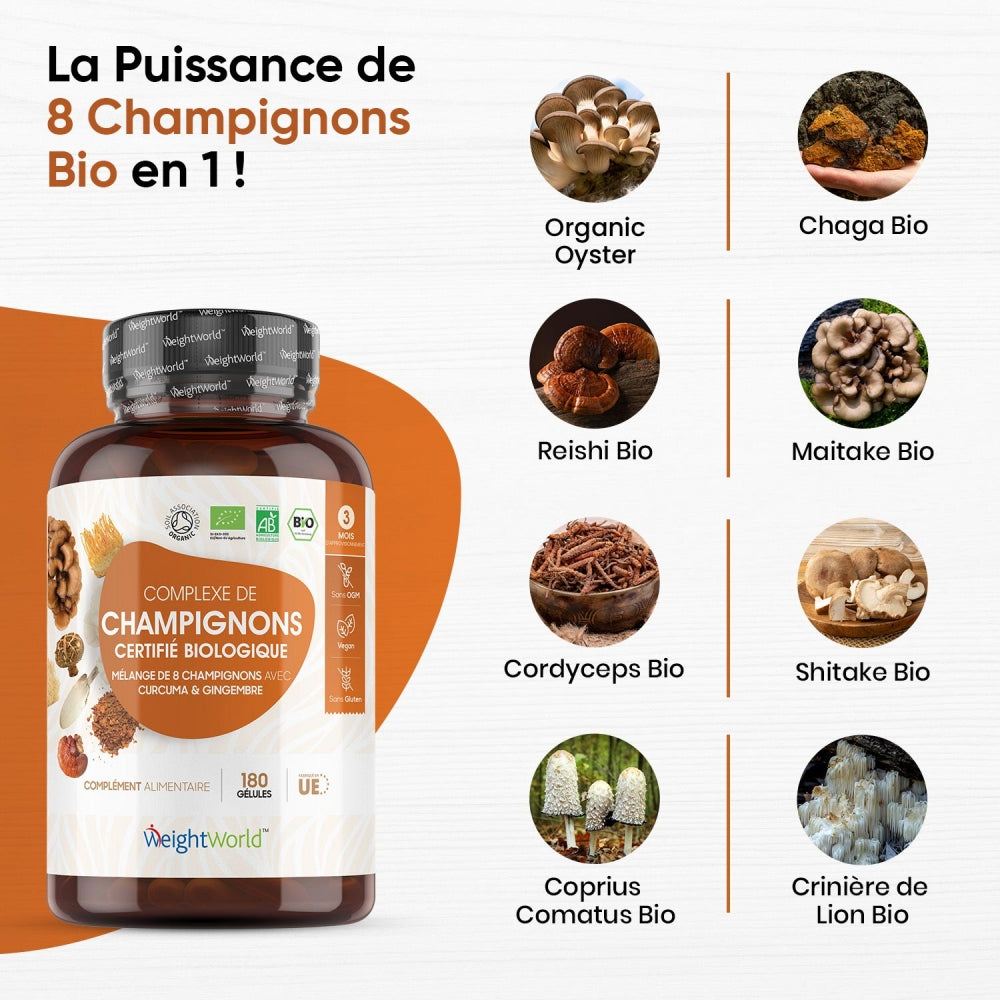 organic-mushroom-fr-02